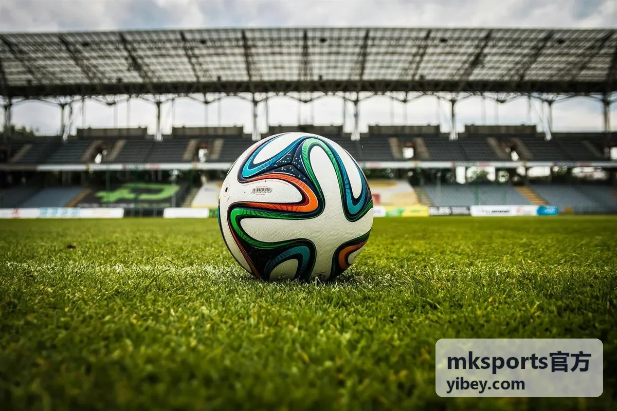 mksports官方一对一律动训练课程